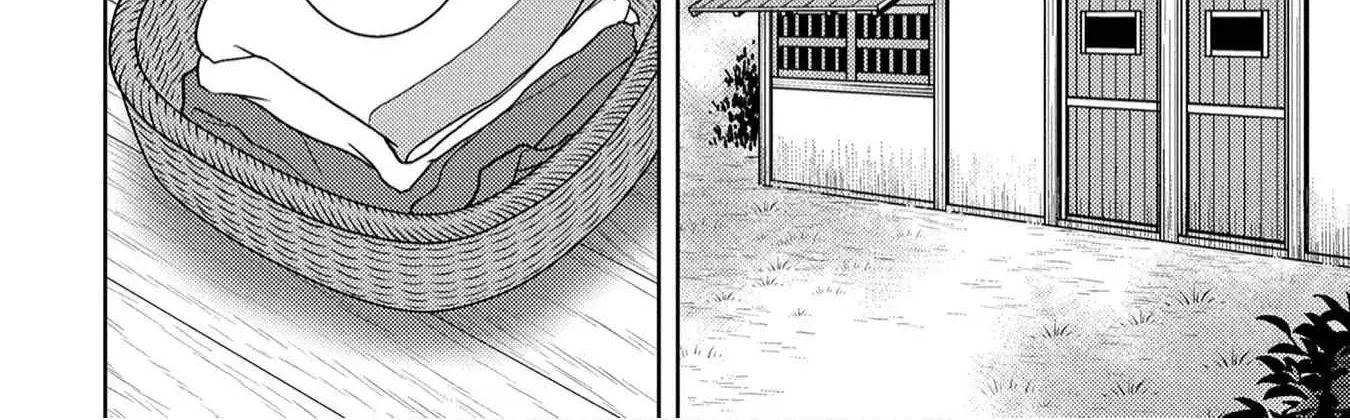 Sengoku Komachi Kurou Tan! Chapter 11 page 46 - 