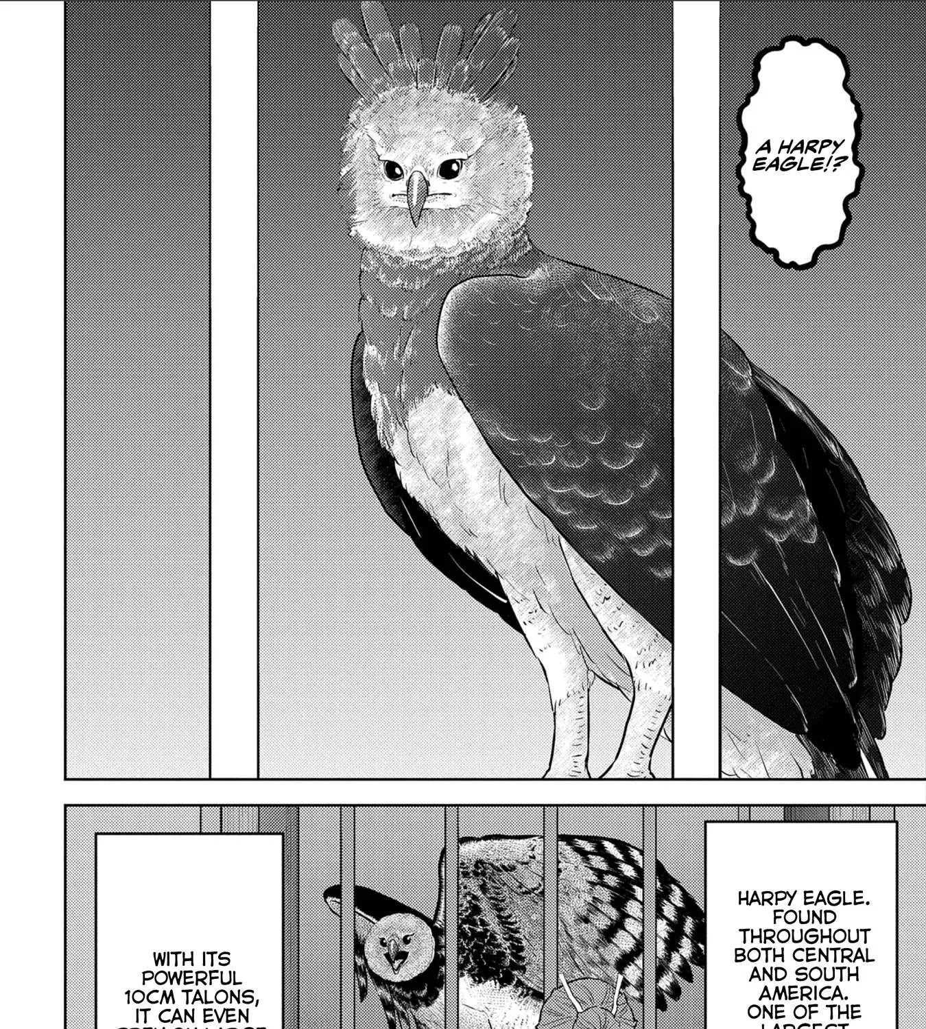 Sengoku Komachi Kurou Tan! Chapter 38 page 44 - 