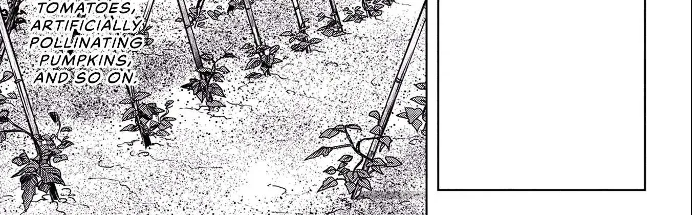 Sengoku Komachi Kurou Tan! Chapter 4 page 3 - 