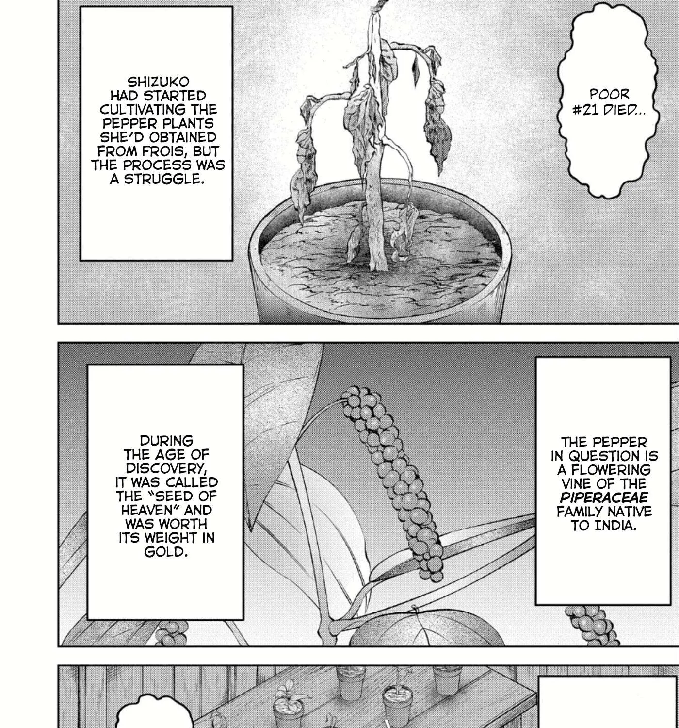 Sengoku Komachi Kurou Tan! Chapter 44 page 4 - 