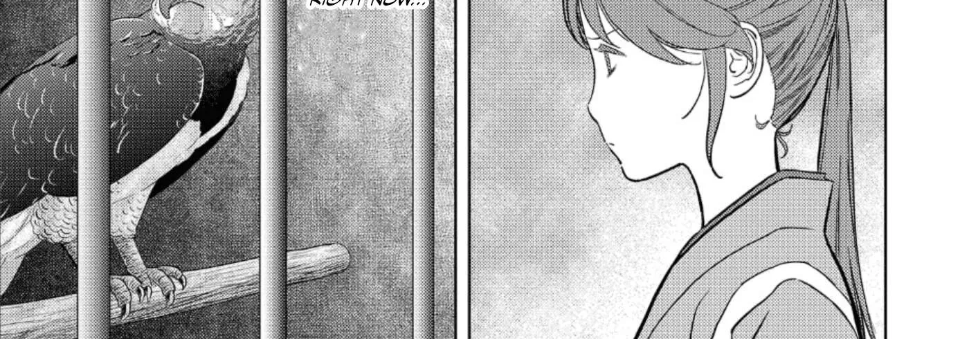 Sengoku Komachi Kurou Tan! Chapter 46 page 27 - 