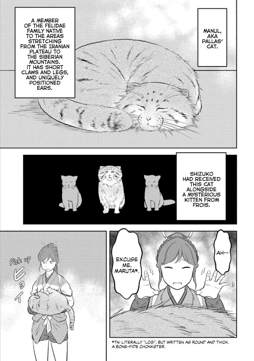 Sengoku Komachi Kurou Tan! Chapter 57 page 14 - 