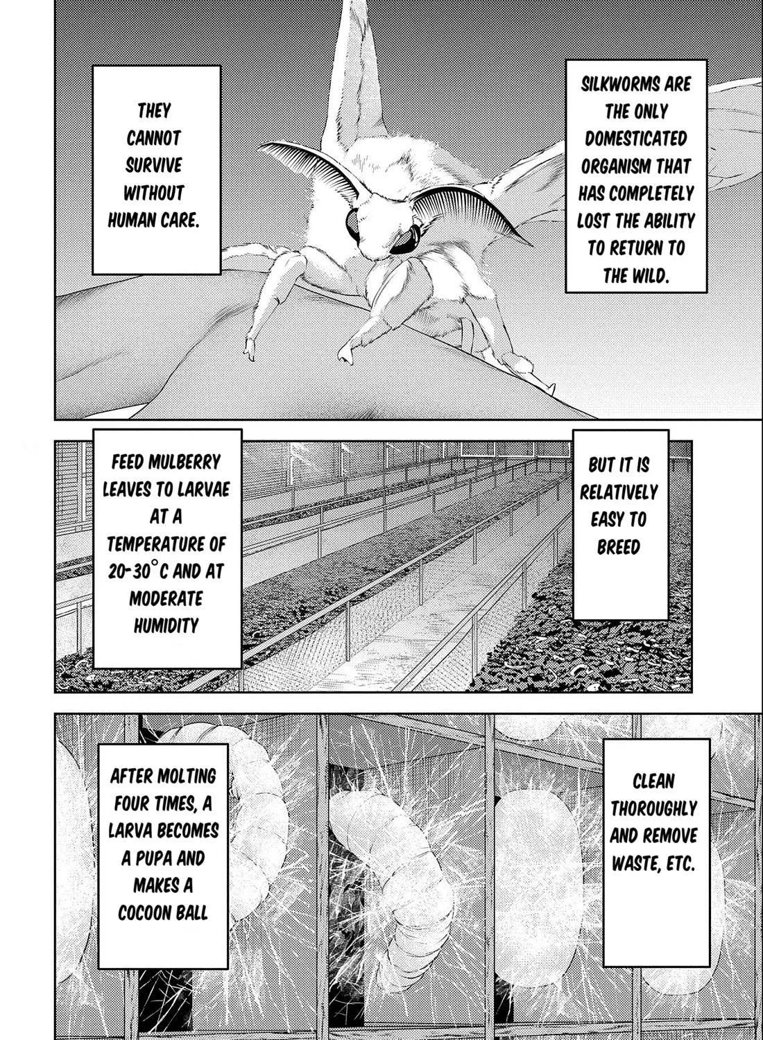 Sengoku Komachi Kurou Tan! Chapter 74 page 8 - 