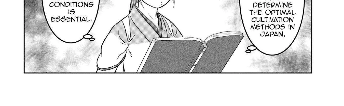 Sengoku Komachi Kurou Tan! Chapter 94 page 29 - 