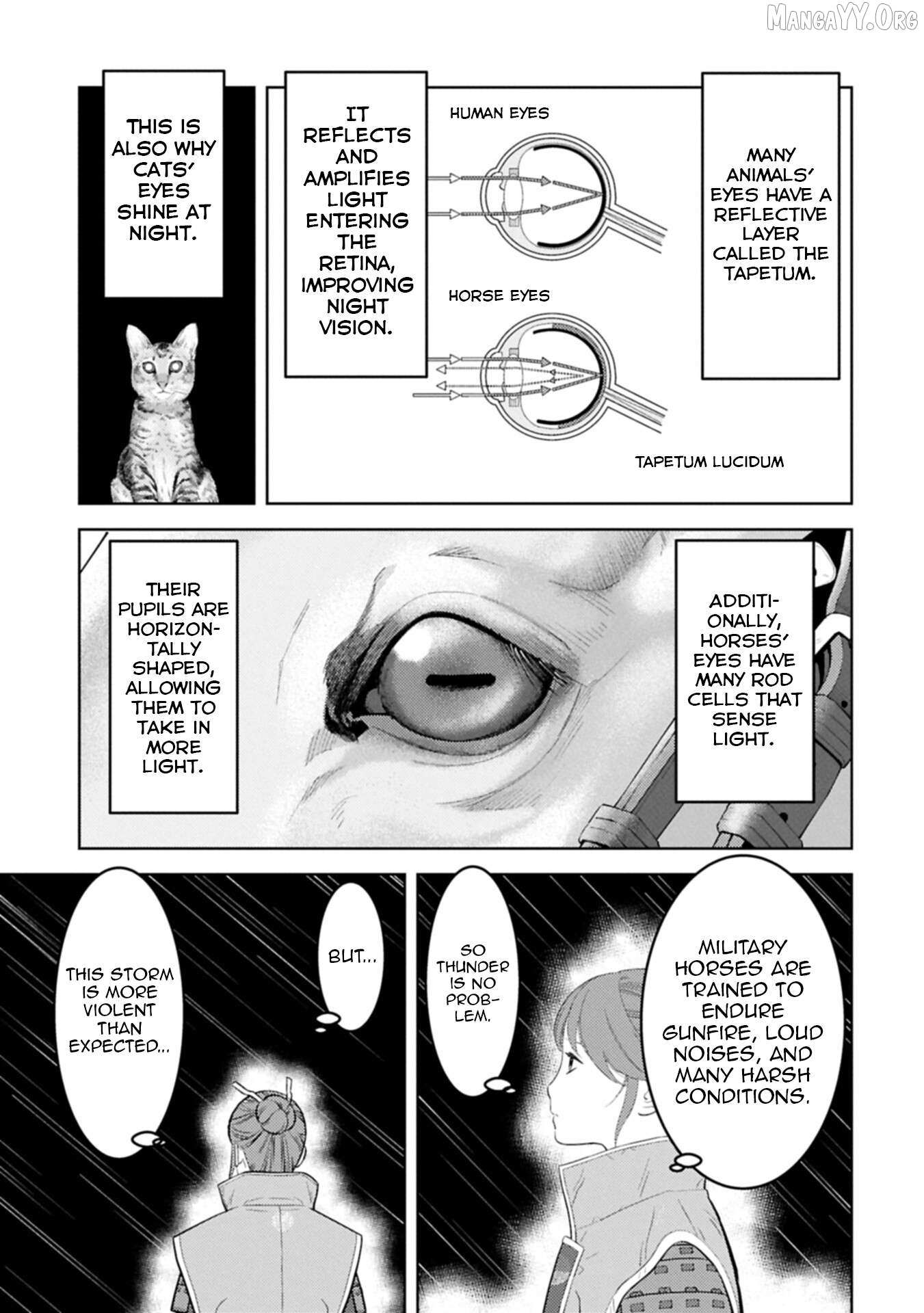 Sengoku Komachi Kurou Tan! Chapter 97 page 20 - 