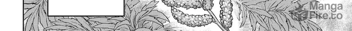 Sengoku Komachi Kuroutan: Noukou Giga Chapter 28 page 47 - 