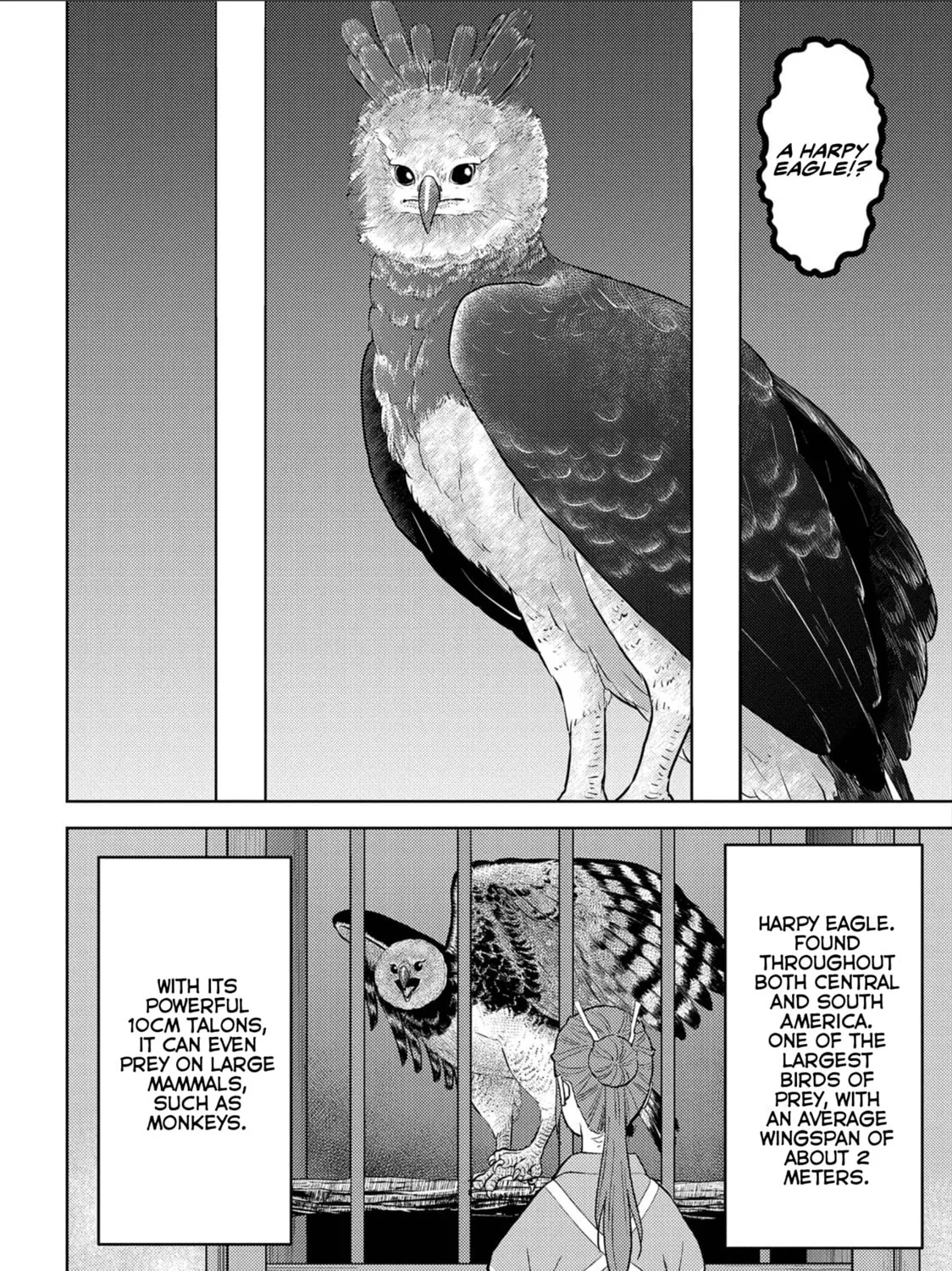 Sengoku Komachi Kuroutan: Noukou Giga Chapter 38 page 44 - 