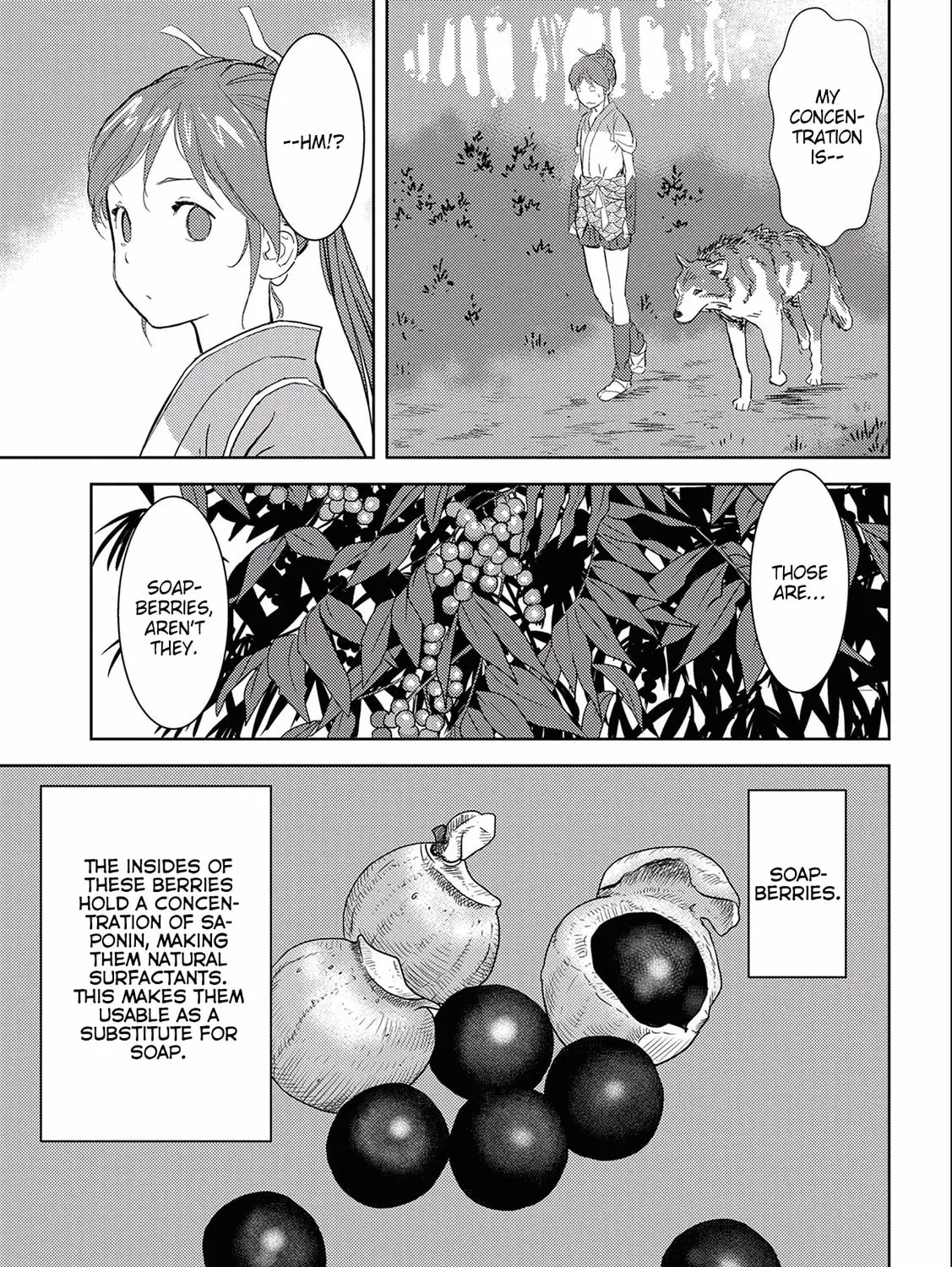 Sengoku Komachi Kuroutan: Noukou Giga Chapter 4 page 14 - 