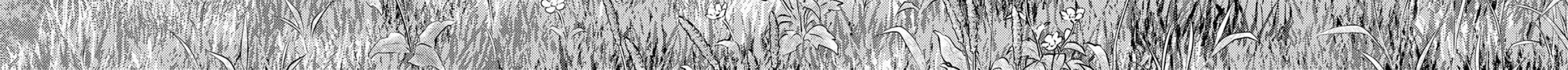 Sengoku Komachi Kuroutan: Noukou Giga Chapter 40 page 13 - 