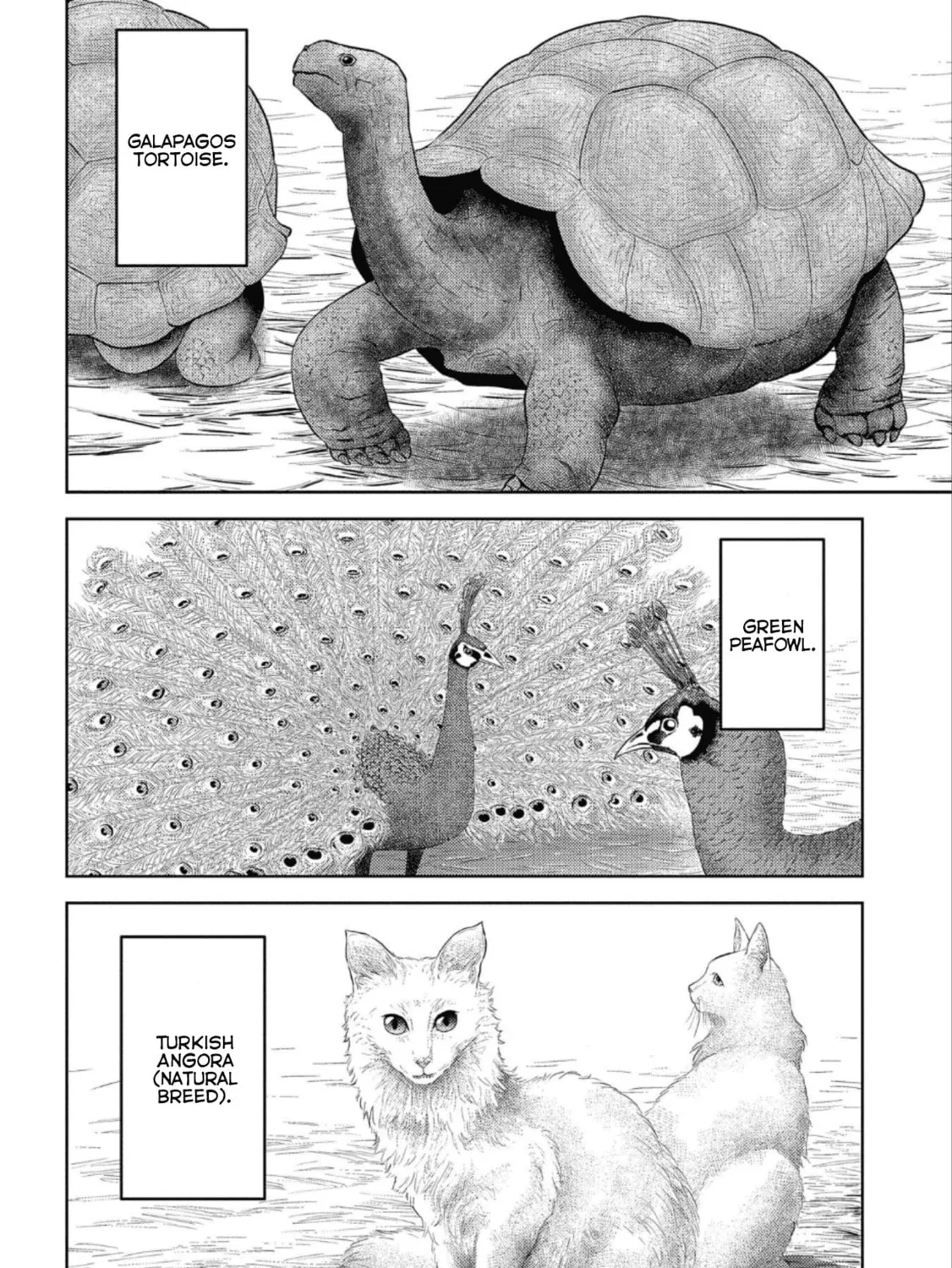 Sengoku Komachi Kuroutan: Noukou Giga Chapter 43 page 60 - 