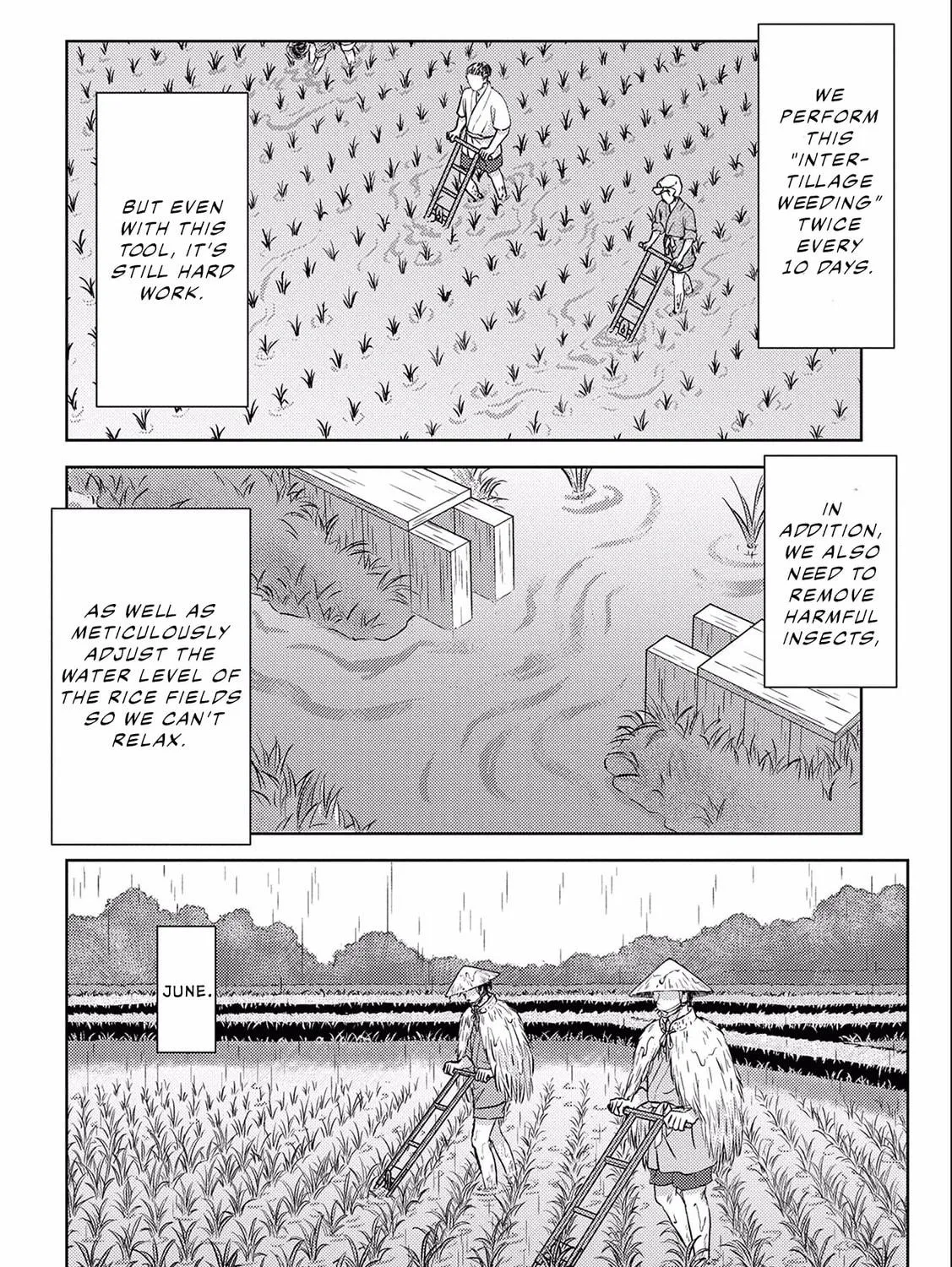 Sengoku Komachi Kuroutan: Noukou Giga Chapter 6 page 64 - 