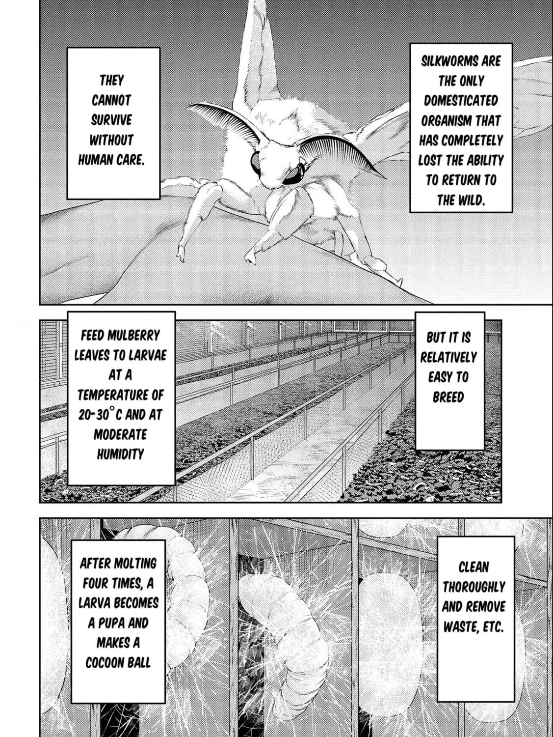Sengoku Komachi Kuroutan: Noukou Giga Chapter 74 page 8 - 