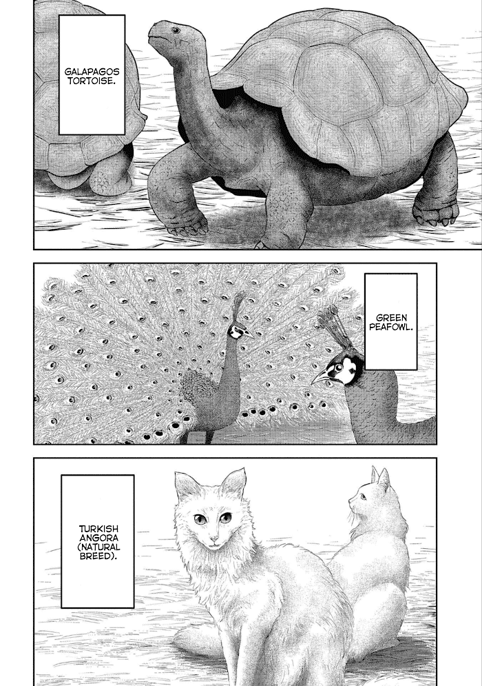 Sengoku Komachi Kuroutan Chapter 43 page 31 - 