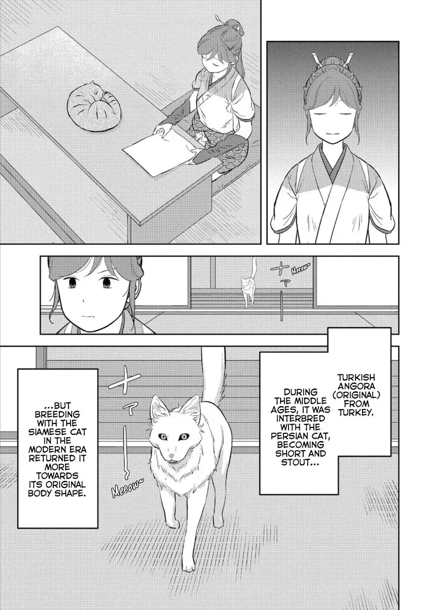 Sengoku Komachi Kuroutan Chapter 57 page 15 - 
