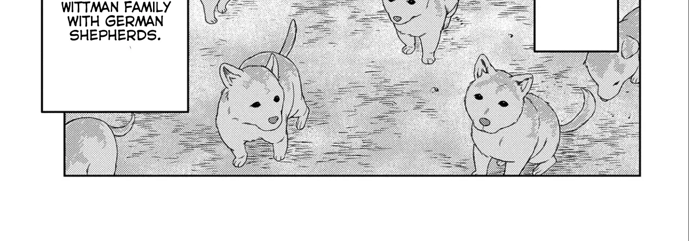 Sengoku Komachi Kuroutan Chapter 63 page 47 - 