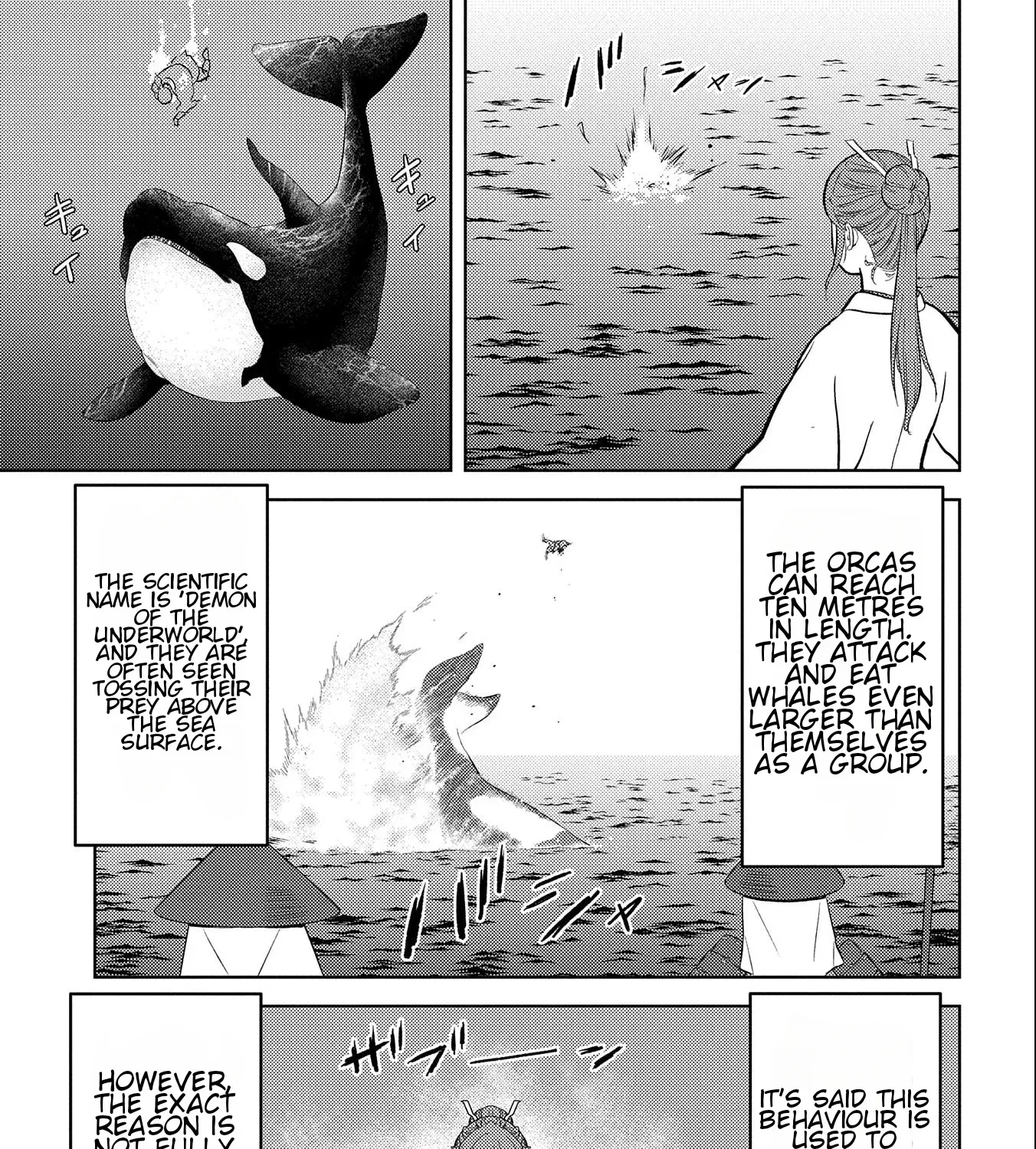 Sengoku Komachi Kuroutan Chapter 70 page 29 - 
