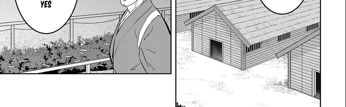 Sengoku Komachi Kuroutan Chapter 74 page 11 - 