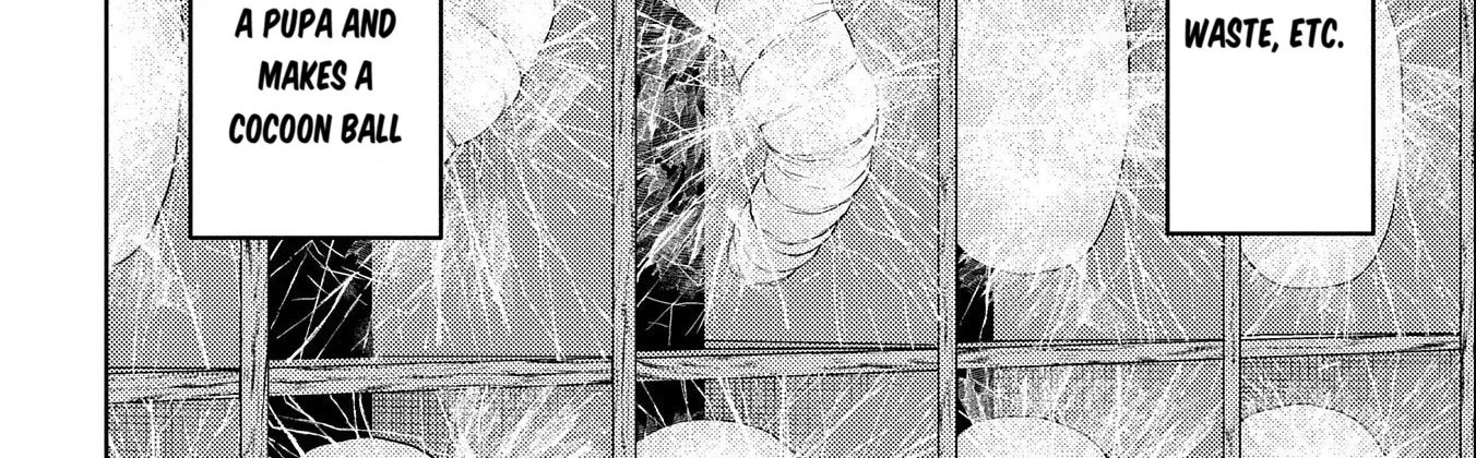 Sengoku Komachi Kuroutan Chapter 74 page 9 - 