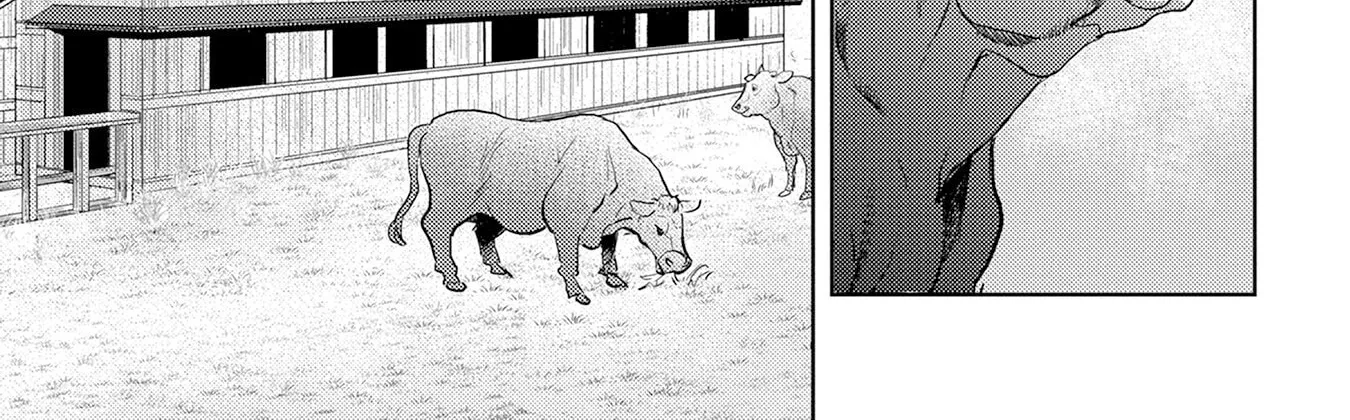 Sengoku Komachi Kuroutan Chapter 90 page 11 - 