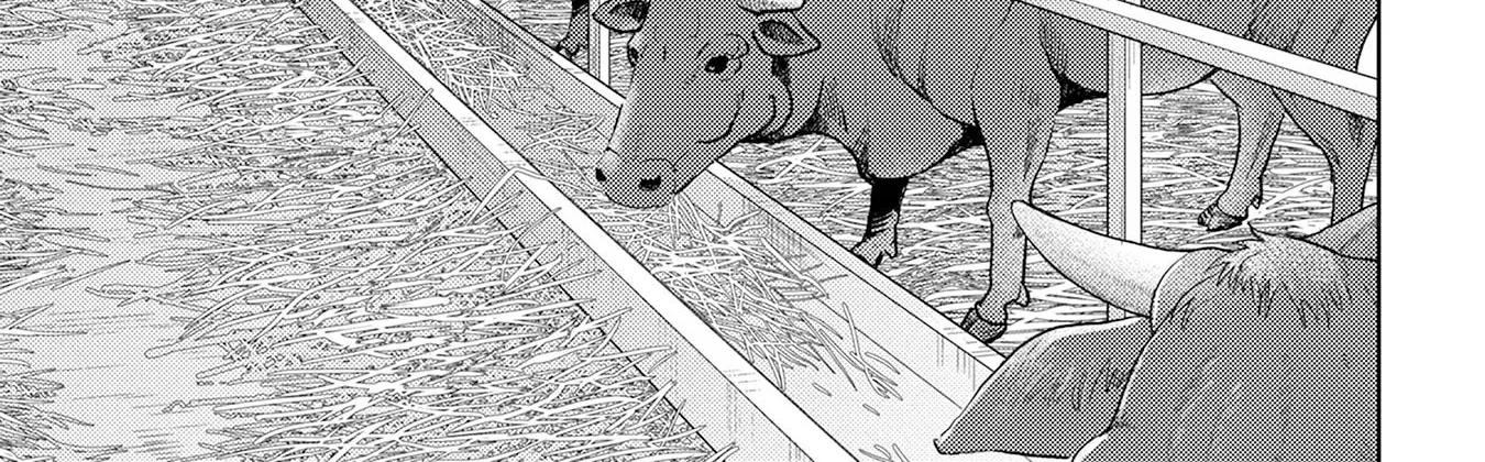 Sengoku Komachi Kuroutan Chapter 90 page 15 - 
