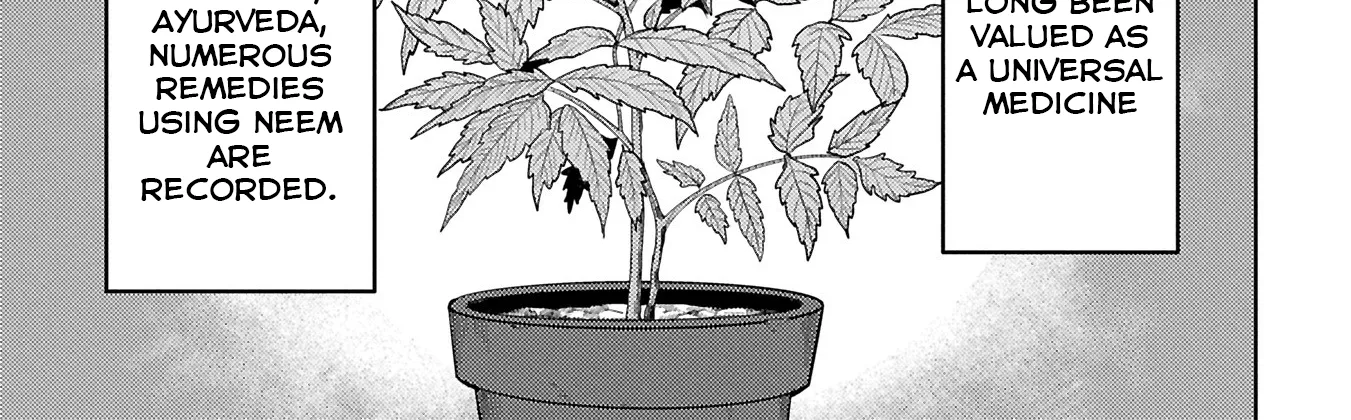 Sengoku Komachi Kuroutan Chapter 94 page 27 - 