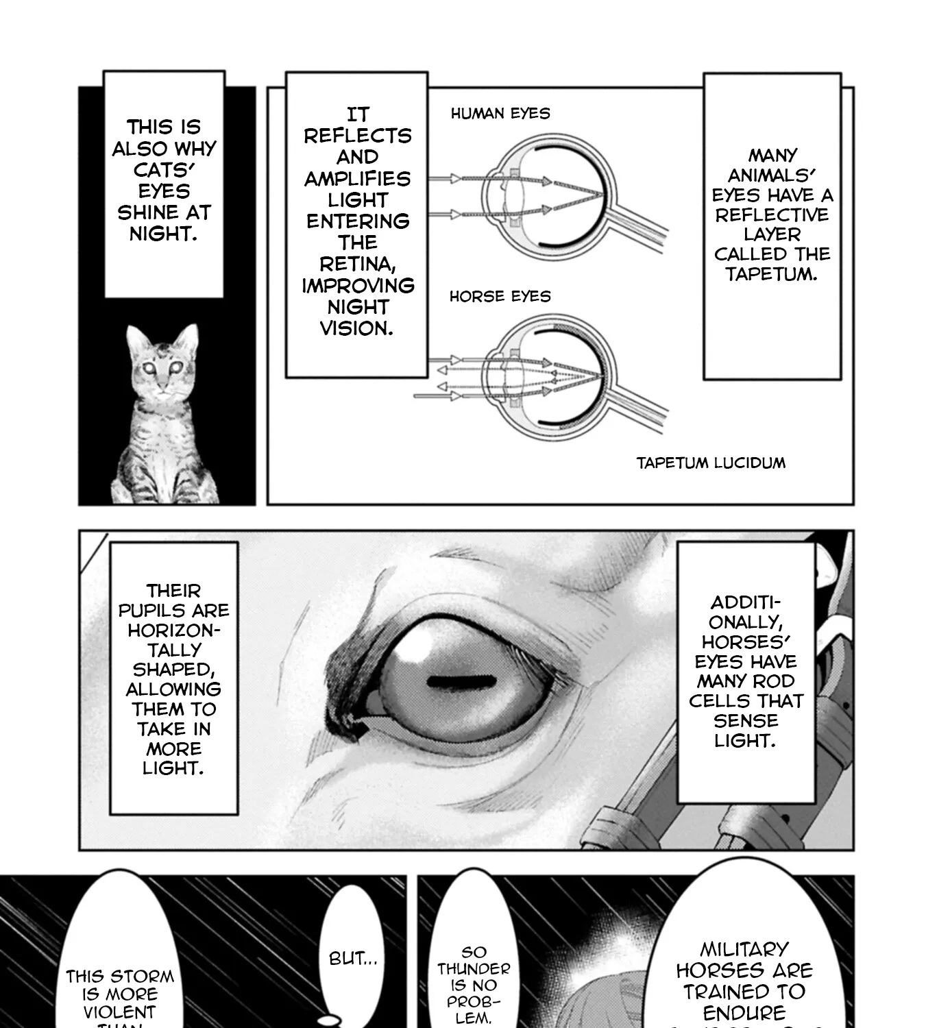 Sengoku Komachi Kuroutan Chapter 97 page 38 - 