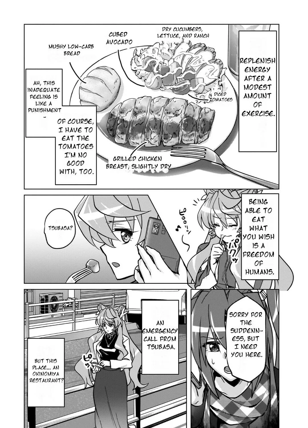 Senki Kanshoku Symphogear ~Shirabemeshi~ Chapter 28 page 15 - 