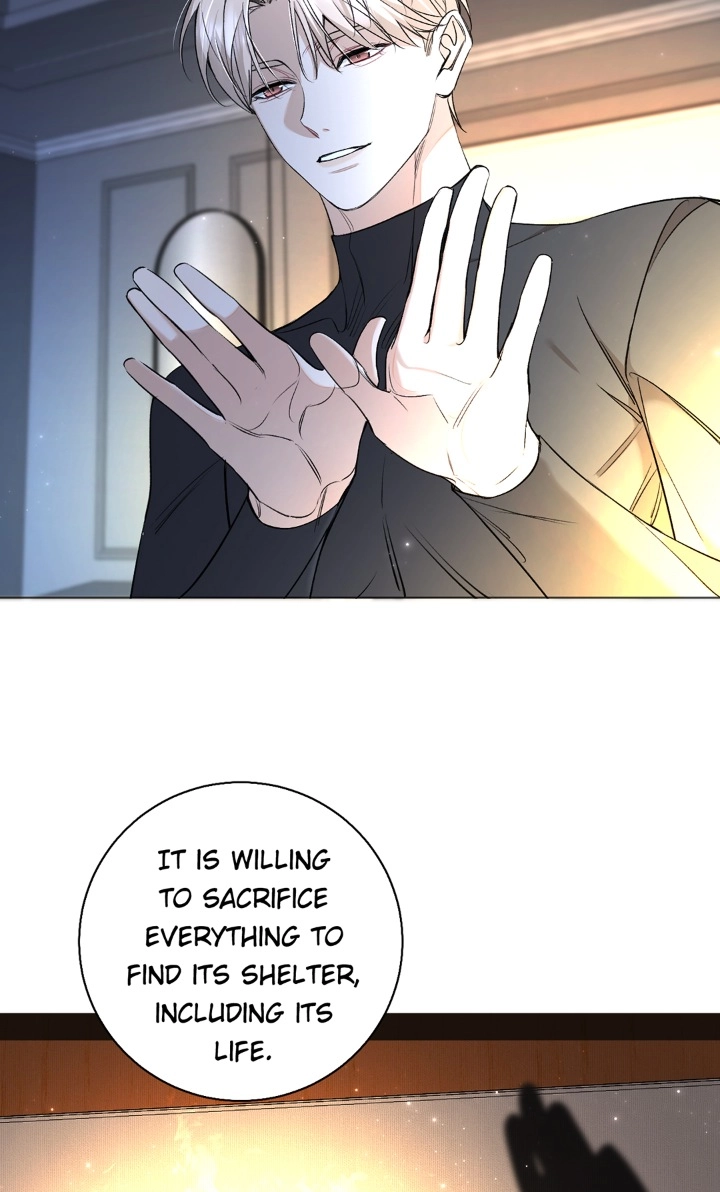 Sensitive Touch Chapter 69 page 17 - 