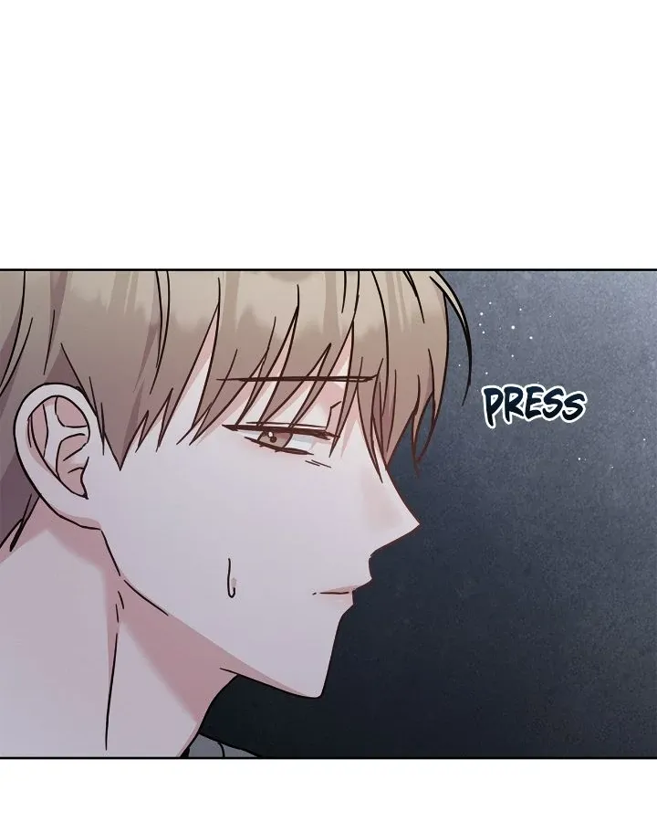 Senza Replica Chapter 26 page 14 - 