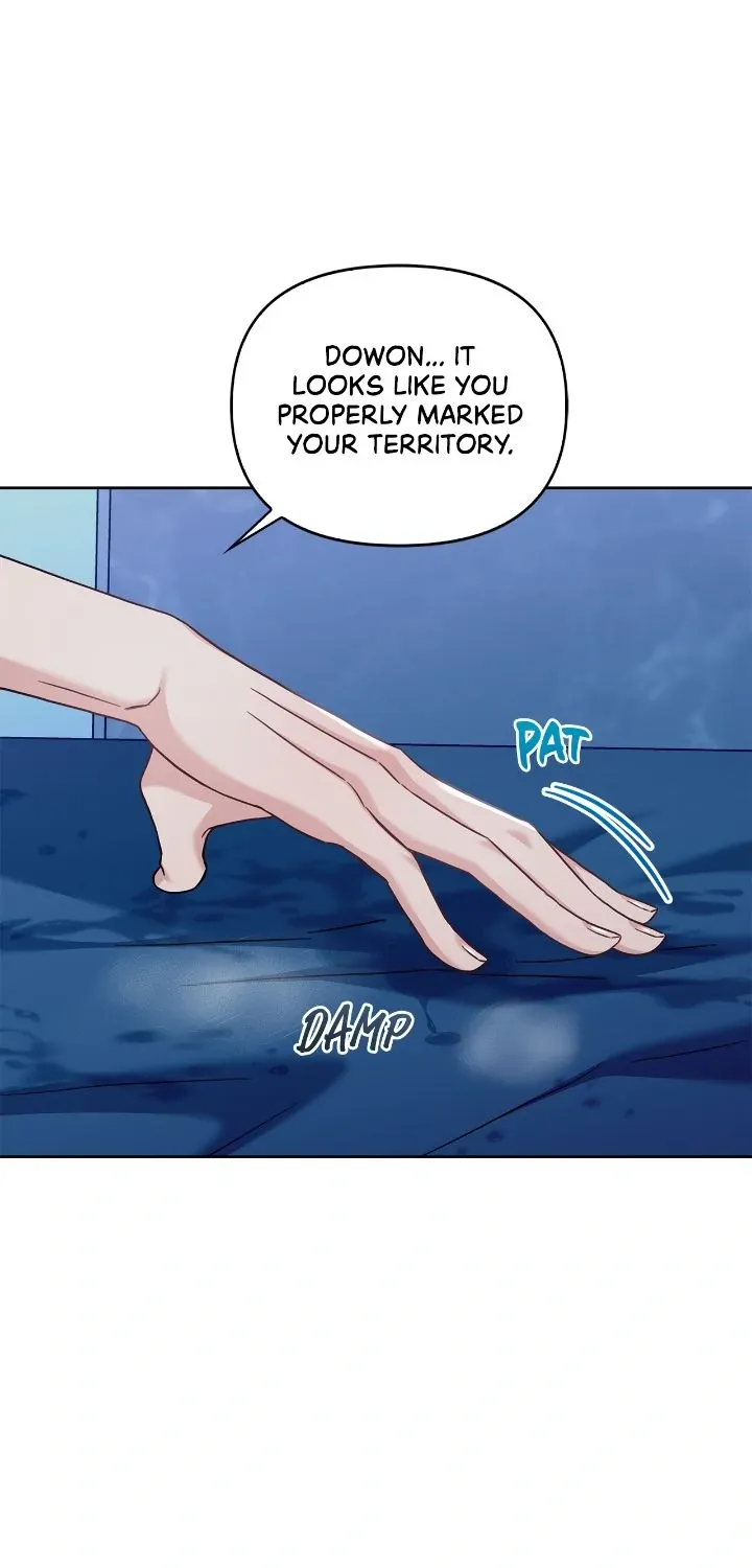 Senza Replica Chapter 36 page 1 - 
