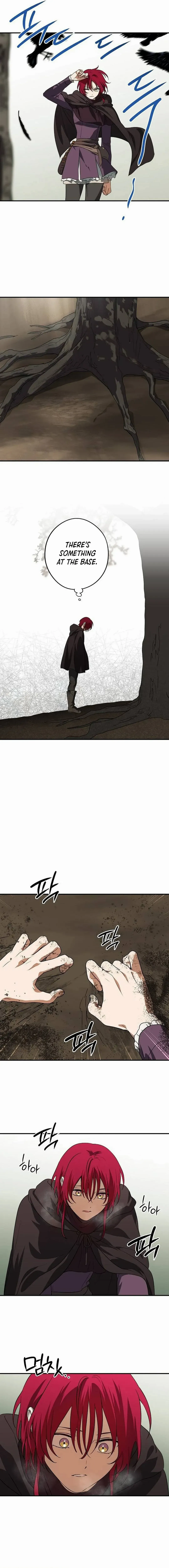 Setting Sun, Dazzled Eyes Chapter 177 page 13 - 