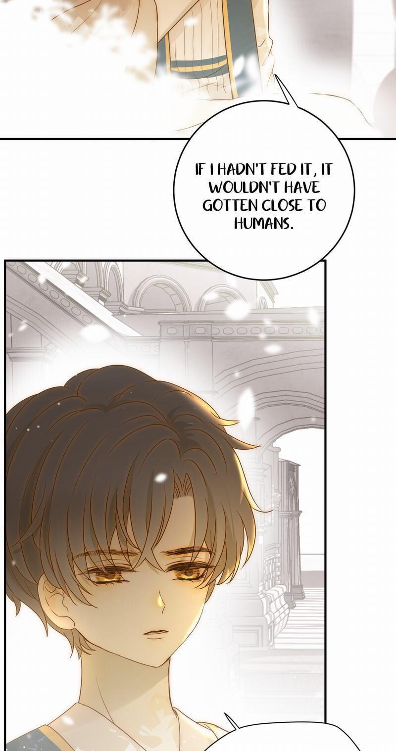 Seven Wonders: Tyrant
