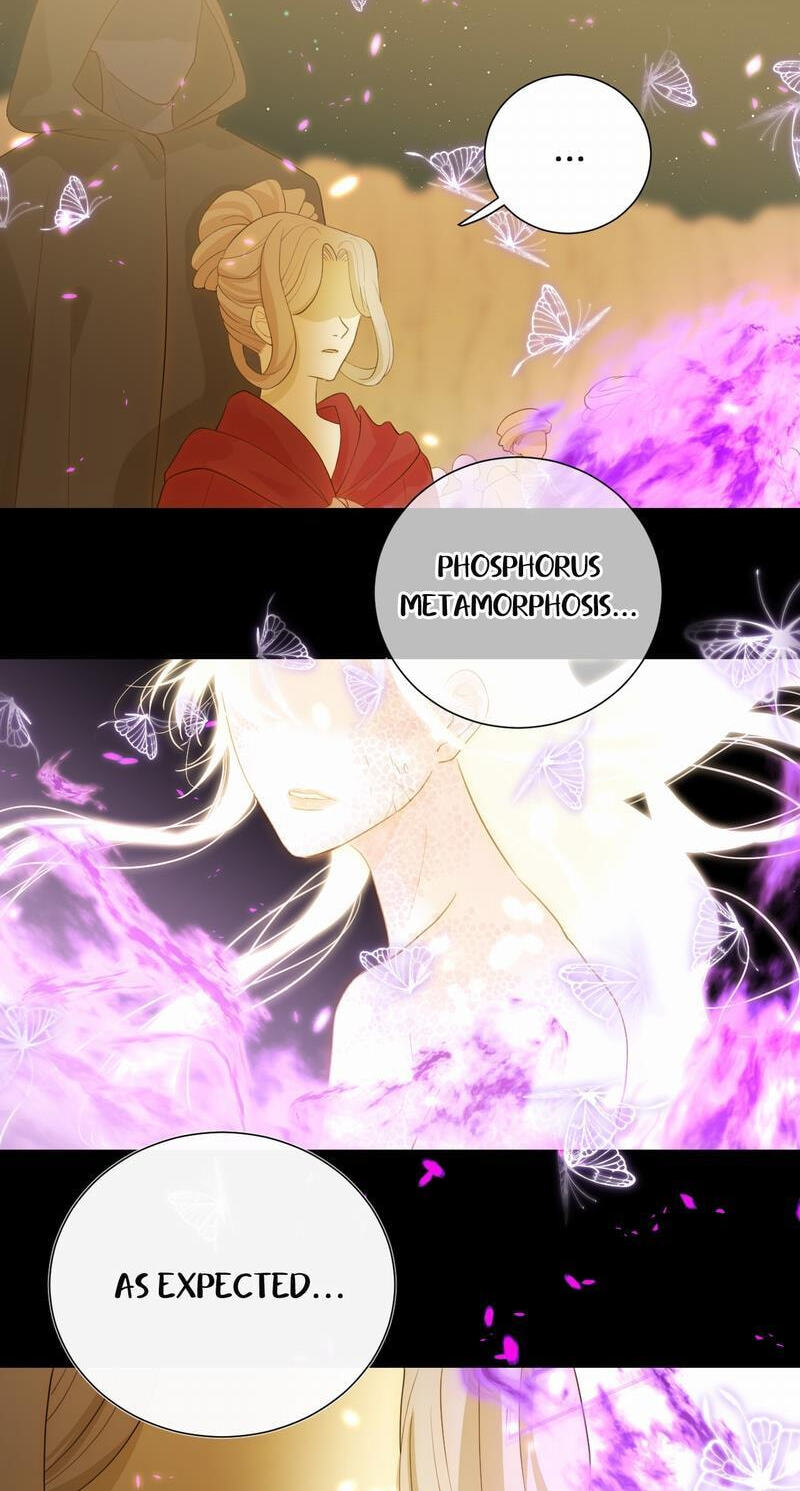 Seven Wonders: Tyrant