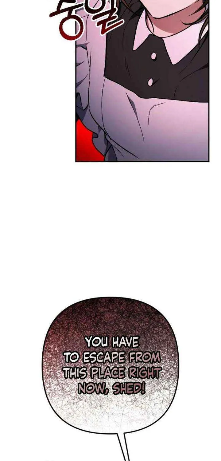 Shadow in Paradise Chapter 11 page 82 - 