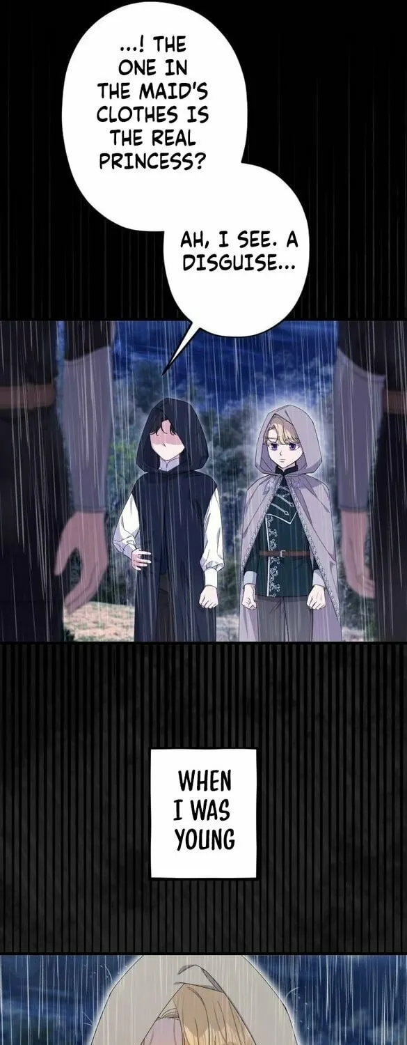 Shadow Princess Chapter 10 page 29 - 