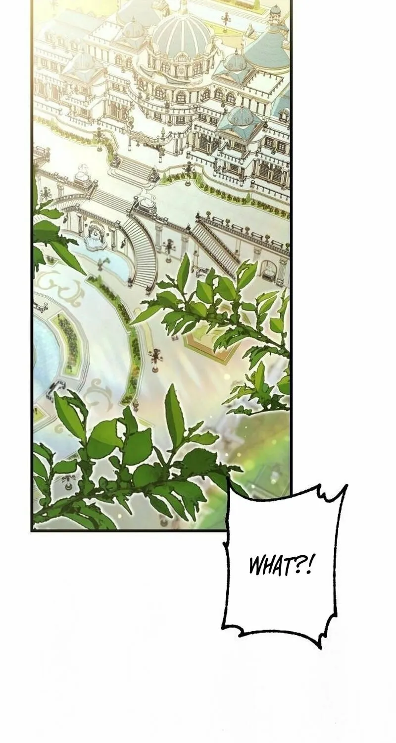 Shadow Princess Chapter 11 page 95 - 