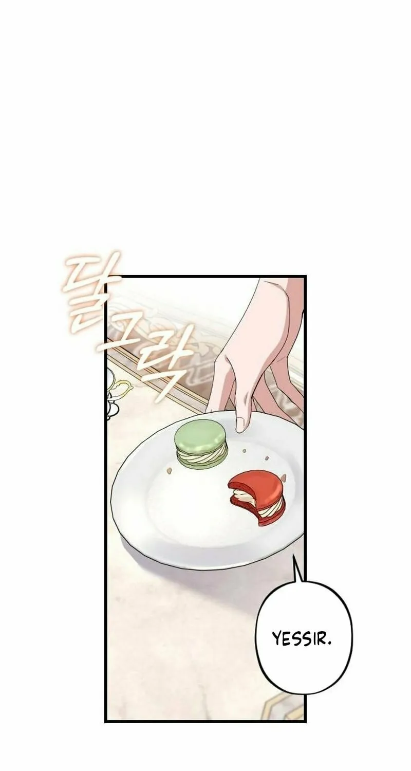 Shadow Princess Chapter 12 page 11 - 