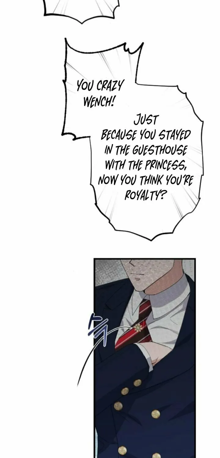 Shadow Princess Chapter 13 page 21 - 