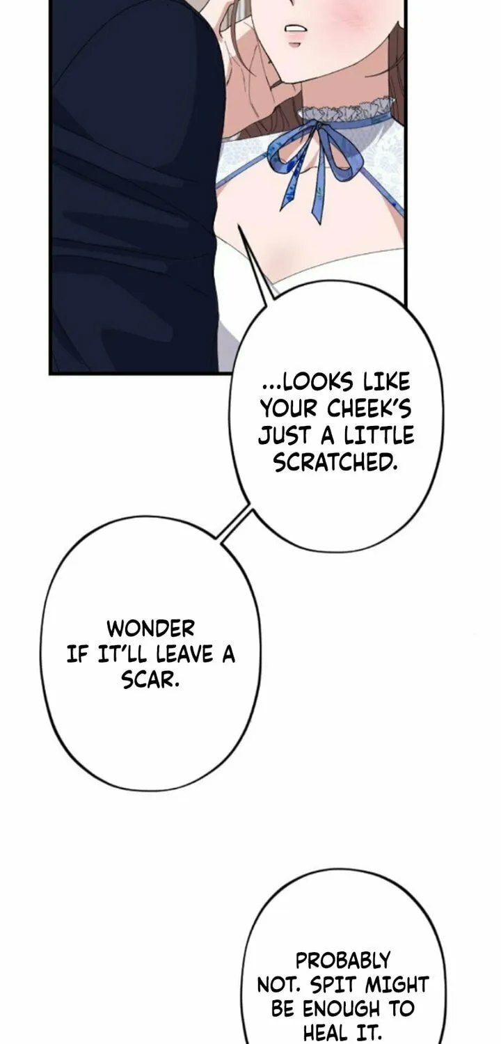 Shadow Princess Chapter 13 page 29 - 