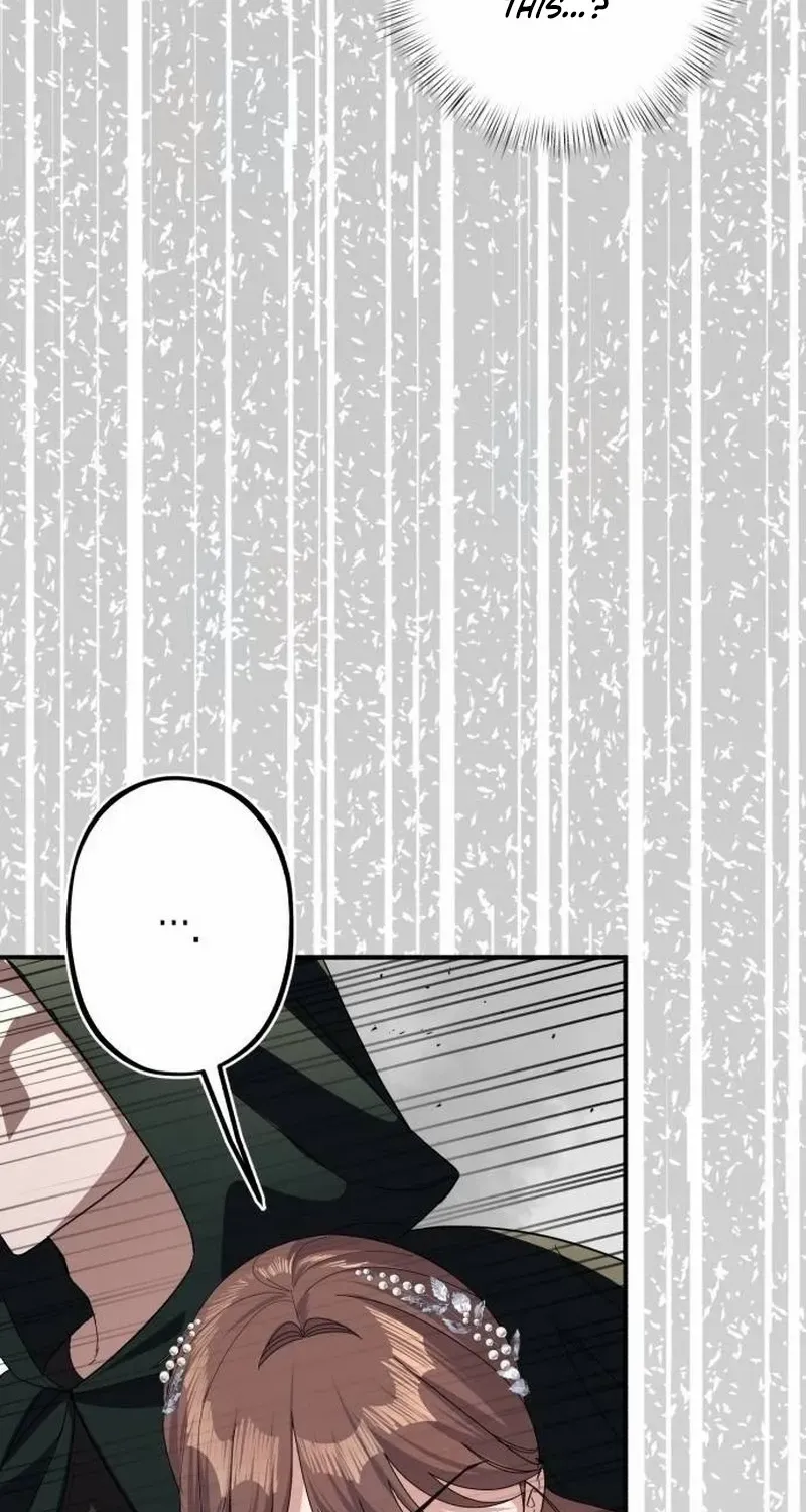 Shadow Princess Chapter 18 page 85 - 