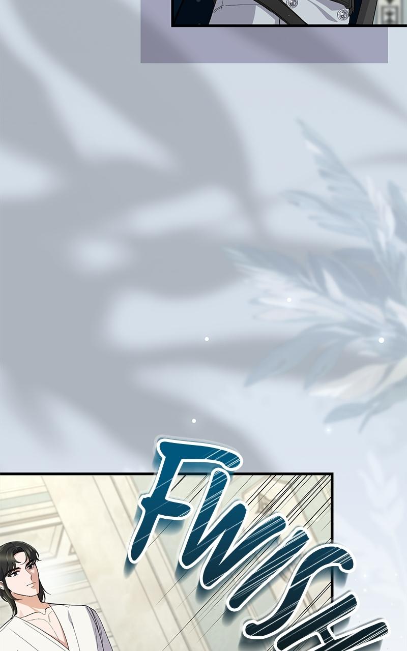 Shadow Princess Chapter 29 page 45 - 