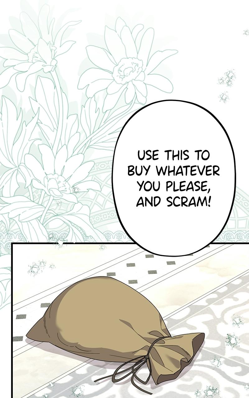 Shadow Princess Chapter 29 page 47 - 