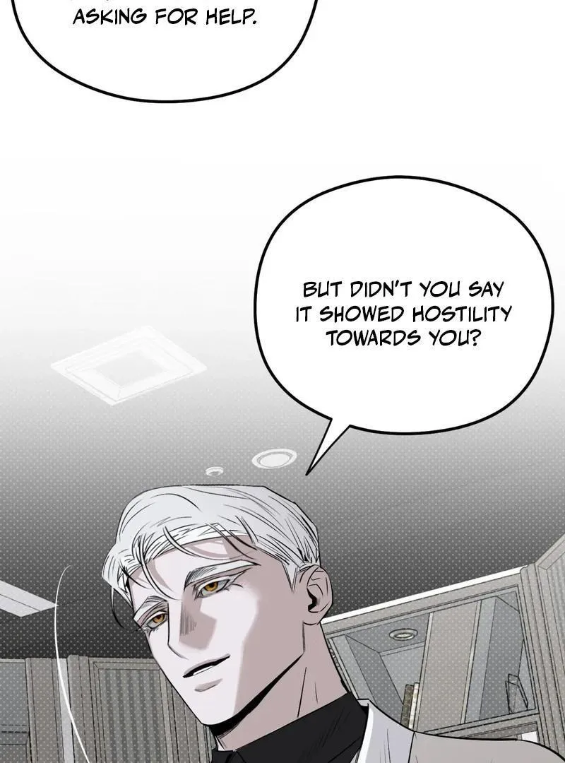 Shadow under the moon Chapter 11 page 19 - 