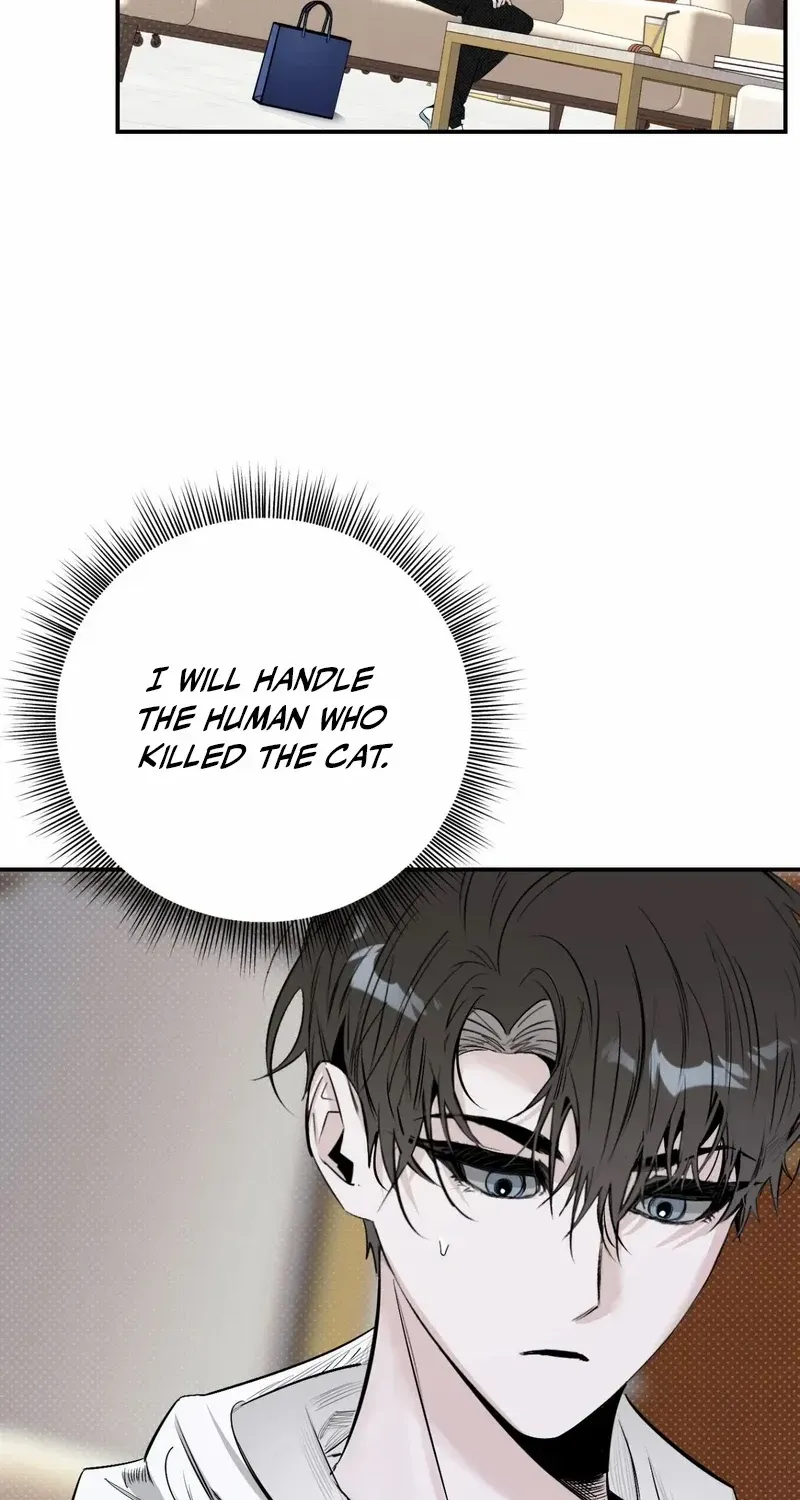 Shadow under the moon Chapter 12 page 28 - 