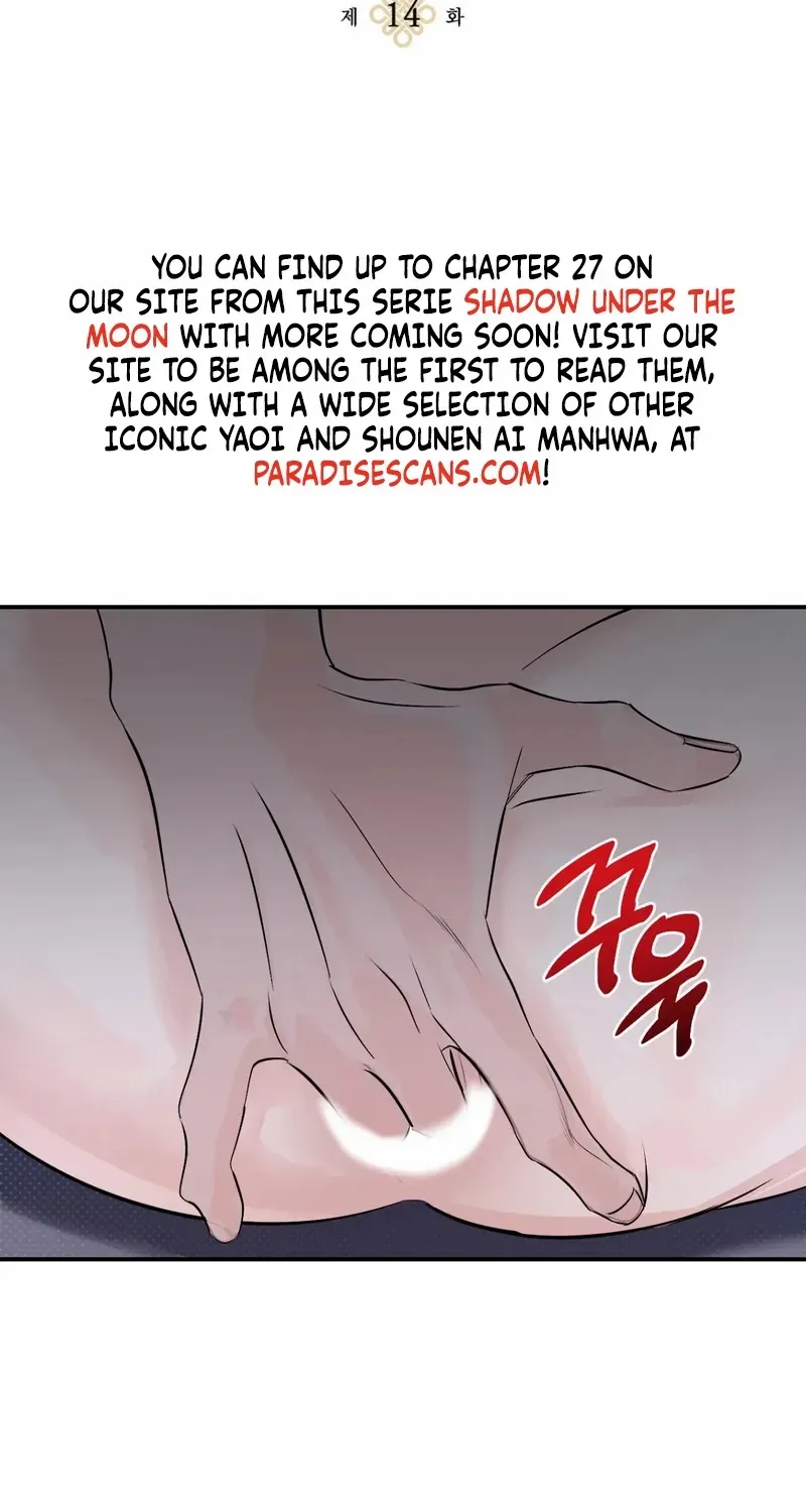 Shadow under the moon Chapter 14 page 3 - 