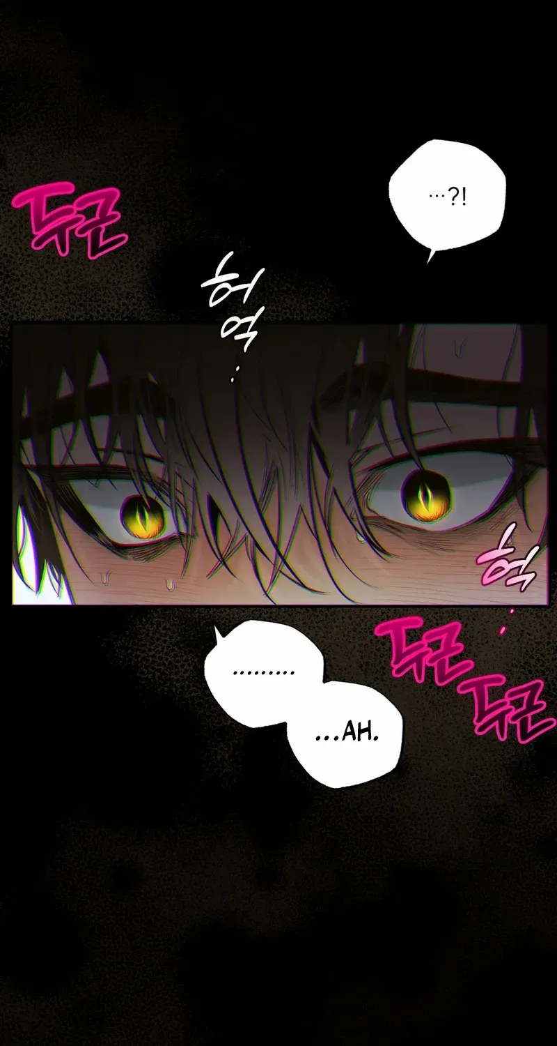 Shadow under the moon Chapter 14 page 27 - 