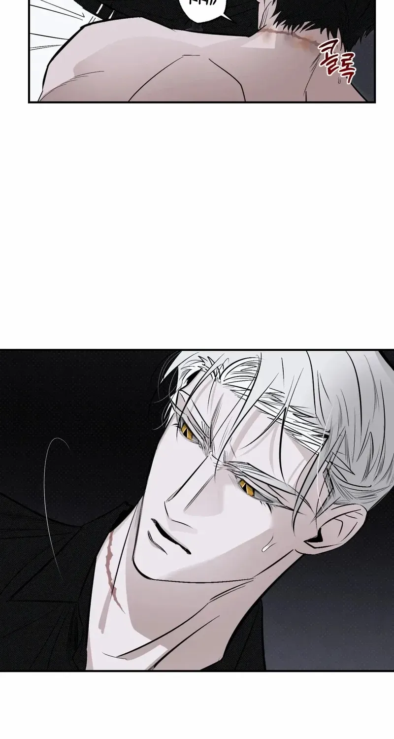 Shadow under the moon Chapter 15 page 20 - 