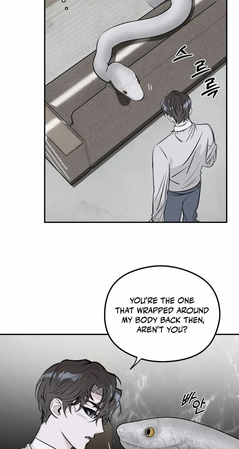 Shadow under the moon Chapter 17 page 5 - 