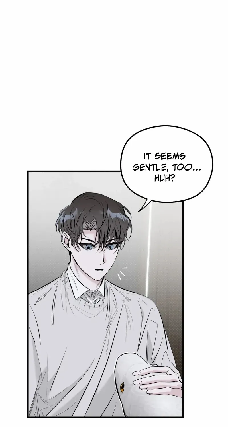 Shadow under the moon Chapter 17 page 8 - 