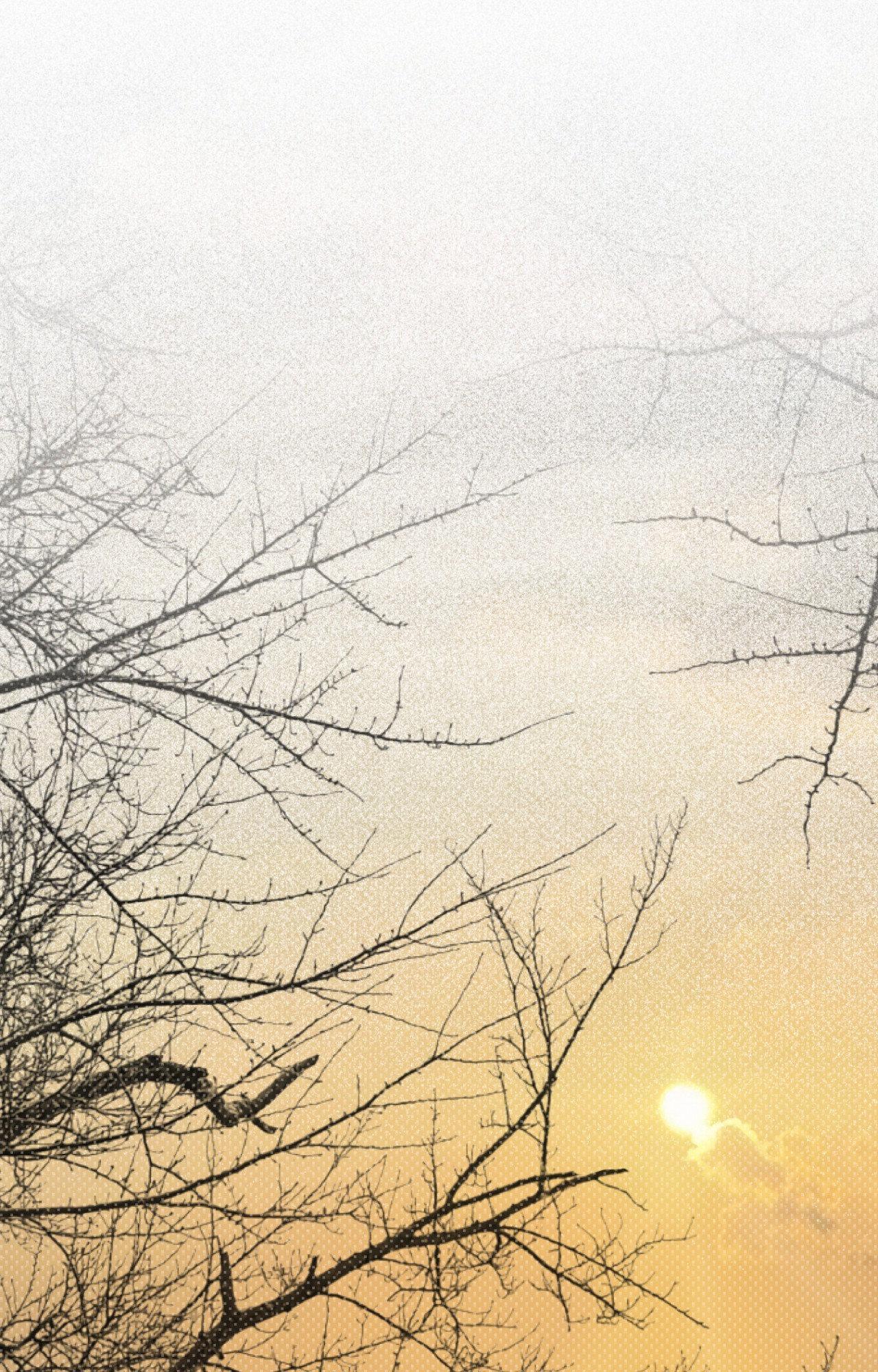Shadow under the moon Chapter 20.1 page 69 - 